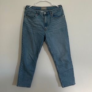 Everlane Curvy Cheeky Jean Crop